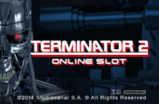 Terminator 2 Slots